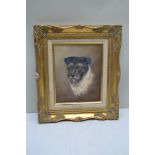 L.W. LUCAS Portrait Study of a Long Haired Terrier. Oil on board, signed, titled and dated 1928,