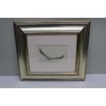 JOHN C. HARRISON "Golden Eagle" in flight. Pencil drawing, signed (in pencil) 11 x 18cm, mounted