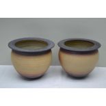 TORQUIL' POTTERY OF HENLEY-IN-ARDEN TWO STONEWARE VASES, 15cm high