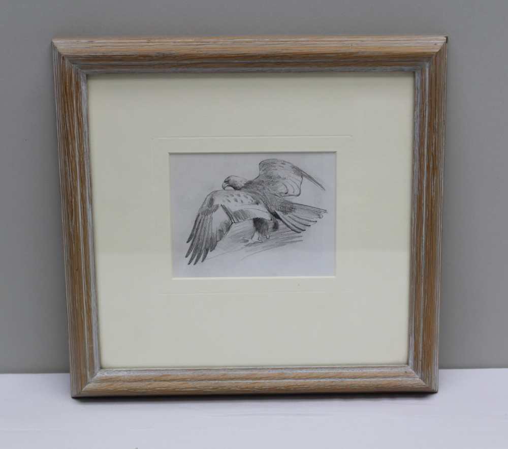 JOHN C. HARRISON "Golden Eagle". Pencil drawing, 8.5 x 11cm, mounted in limed oak glazed frame