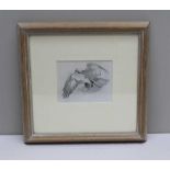 JOHN C. HARRISON "Golden Eagle". Pencil drawing, 8.5 x 11cm, mounted in limed oak glazed frame