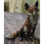 A 20TH CENTURY AUSTRIAN COLD PAINTED BRONZE SEATED FOX, impressed 'Austria' to the base, 13.5cm high