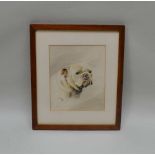 WINIFRED M. WARD "Bull Terrier". Watercolour study, signed, titled and inscribed verso, 27.5cm x