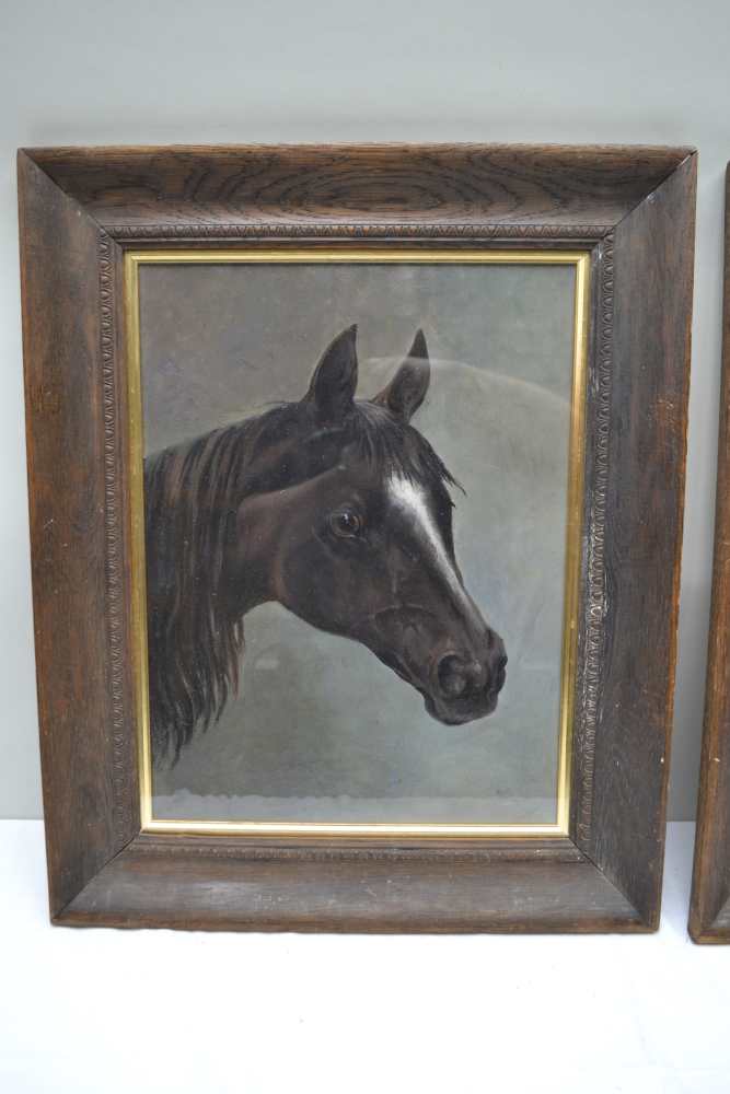 ENGLISH SCHOOL 'Late 19th century portrait study of a Bay Horse and similar of a Chestnut Horse, - Image 2 of 5