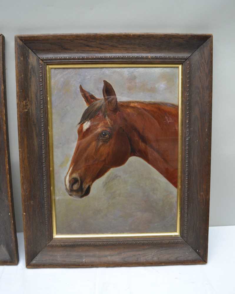 ENGLISH SCHOOL 'Late 19th century portrait study of a Bay Horse and similar of a Chestnut Horse, - Image 3 of 5
