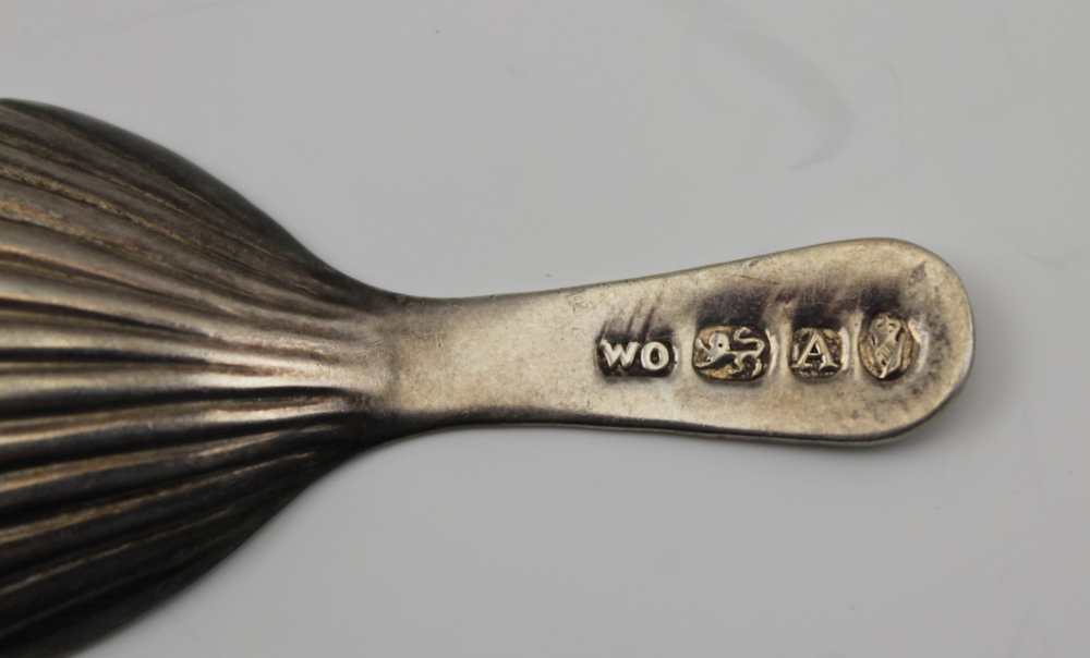 WILLIAM OSBORNE A GEORGE IV SILVER CADDY SPOON of scallop form, with plain handle. Dublin 1821, 13. - Image 3 of 3