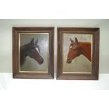 ENGLISH SCHOOL 'Late 19th century portrait study of a Bay Horse and similar of a Chestnut Horse,