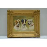 C. HARRISON OIL ON BOARD POTRAIT STUDY OF THREE TERRIERS, 16cm x 22cm, signed, in a period gilded