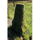 A SANDSTONE STADDLE STONE COLUMN standing 92cm high