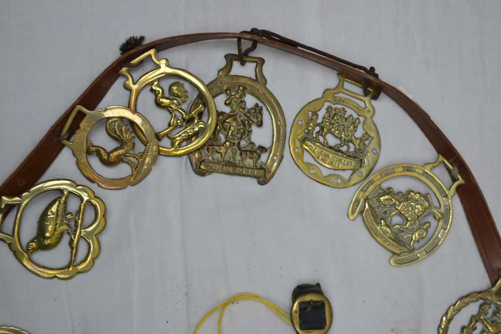 A STRAP OF NINETEEN CAST BRASS HORSE BRASSES to include a long dog, Warwick Castle, Prince of - Image 2 of 6