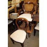 A SET OF EIGHT MAHOGANY COLOURED BALLOON BACKED CHAIRS, six singles, two carvers