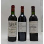 CHATEAU LACOSTE 2000 A.C. Cotes de Castillon, 1 bottle CHATEAU BISTON-BRILLETTE 2000 A.C. Moulis,