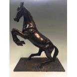 A bronze horse rearing sculpture, on base, height 49.5cm.