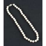 A choker length string of cultured pearls, comprising 44 pearls, to a clasp stamped Silver, length