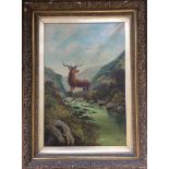 A REYNOLDS. Two signed, gilt framed oil on canvas, stags in Scottish Highlands, 59cm x 39cm.