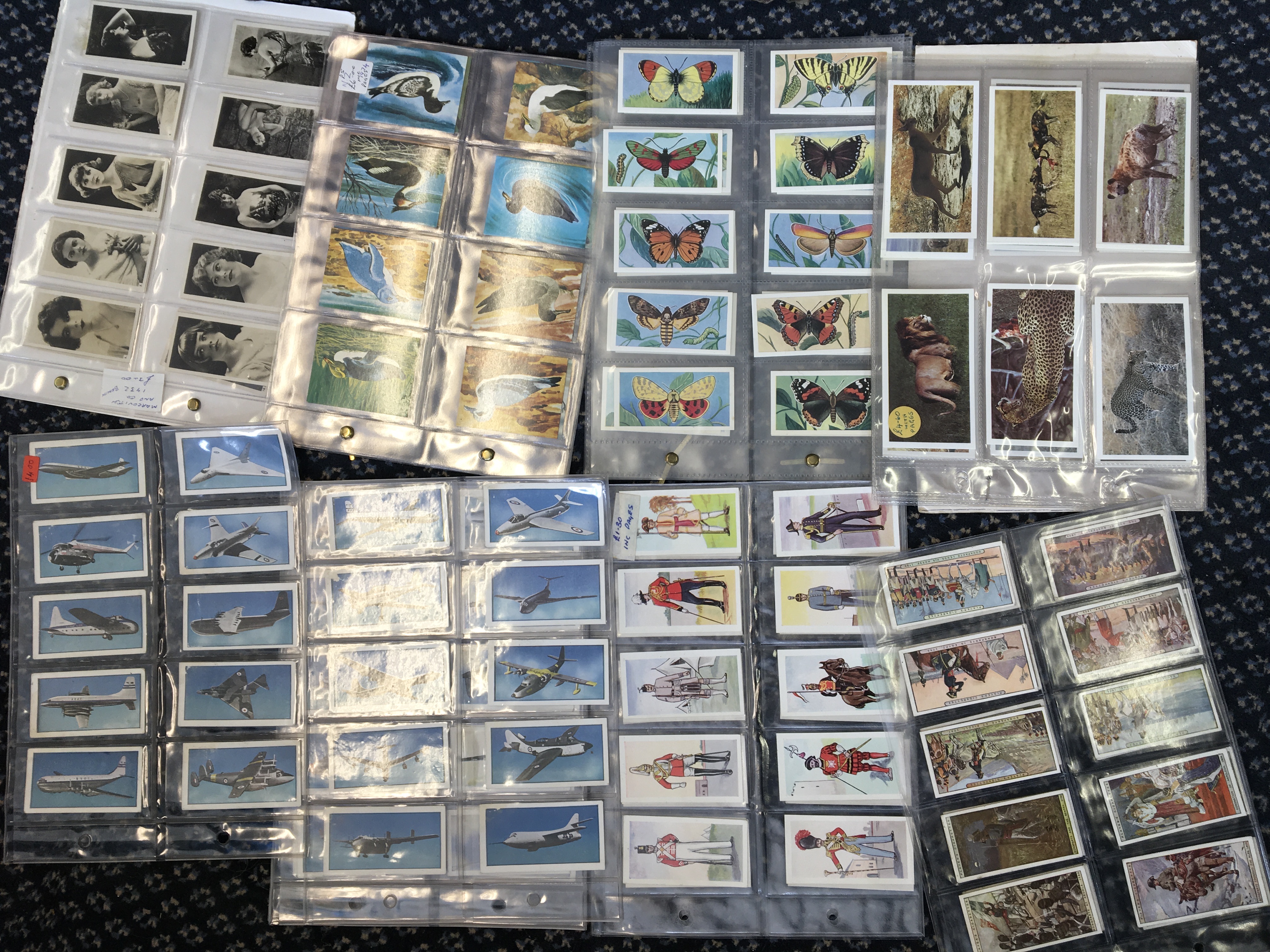 A suitcase containing various cigarette cards. IMPORTANT: Online viewing and bidding only. No in - Image 3 of 3