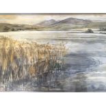 KATHLEEN BRIDLE. Framed, signed in pencil, dated 1976 and titled ‘From Boa Island - reeds and