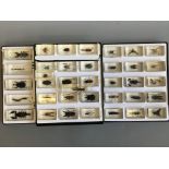 *Collection of thirty seven taxidermy insects in resin blocks, including Blue Weevil, Devil