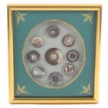 Buttons - a framed display of nine 19th Century mother of pearl buttons including carved and pierced