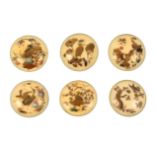 A fine set of six late 19th Century Japanese shibayama and lacquer decorated ivory domed buttons,