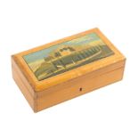 An early 19th Century Spa work rectangular box, the lid with a rectangular painted panel of a
