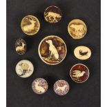 Nine various bone and ivory buttons, four carved with dogs, three with stags, a bird, one with a