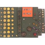 Buttons - six card displays comprising a card of thirty three gilt brass examples, largest 2.2cm,