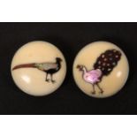 A pair of 19th century ivory stud form buttons each of domed form and decorated in Shibayama , one