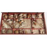 An early 19th Century box containing sea shells, the shallow rectangular box covered in black and