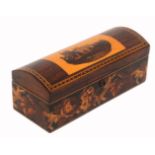 A Tunbridge ware dome top rosewood box, the lid with a mosaic panel of Eton College, set in