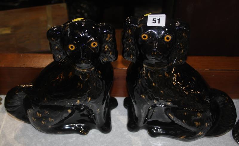 A pair of black and gold Spaniels
