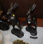 Pair of rabbits