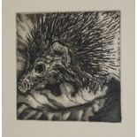 Print 'The Hedgehog' by Jacqueline Allwood, 8 of 25