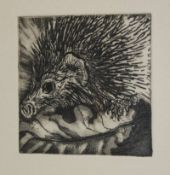 Print 'The Hedgehog' by Jacqueline Allwood, 8 of 25