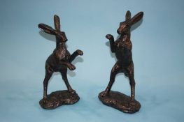 A pair of fighting hares