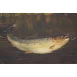 J. Clarke, oil on canvas, signed, dated 1896, 'Caught', 25cm x 30cm