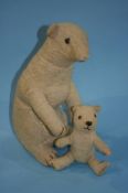 A Deans white mohair mother Polar bear sitting on her hind legs, having orange glass eyes,