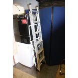 Two pairs of step ladders