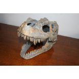 Cast dinosaur skull