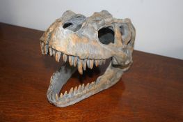 Cast dinosaur skull