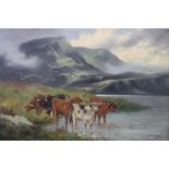 Pair, P. Potter, oils on canvas, signed, dated 1903, 'Highland cattle landscape', 50 x 75cm