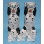 A pair of Staffordshire Spaniel water jugs and three mini Beswick Spaniels (5)