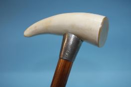 A walking cane with silver mount and Whale tooth handle