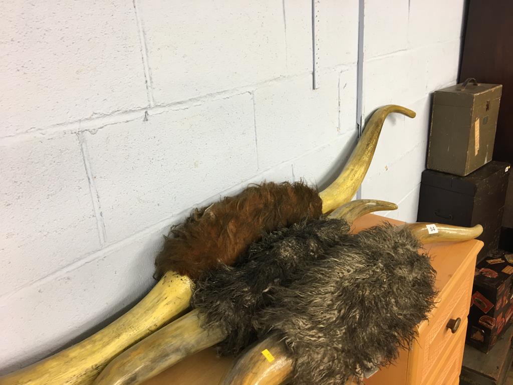 Three pairs of reproduction horns