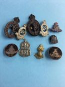 Collection of various cap and shoulder badges, including ARP DLI etc.