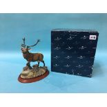 Border Fine Arts red Stag, with box