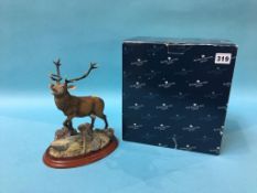 Border Fine Arts red Stag, with box