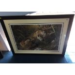 Carl Brenders, signed limited edition print, 'Shadows in the Grass - Young Cougars', number 850/