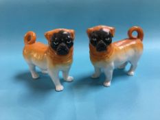 Pair of Staffordshire pug dogs. Contactless collection is strictly by appointment on Thursday,