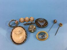 Ten assorted brooches and stick pins